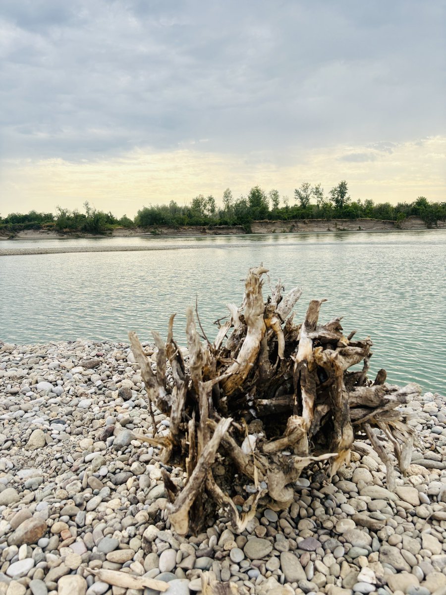 IllusionsMusa's tweet photo. Ono iza spruda je Drina, koju možete pregaziti, a ovo ispred je jama nastala kriminalnim vadjenjem šljunka. Do Drine se više u Mačvi ne može doći, u Drini se ne može okupati, vode pijaće nestaje. To vam je danas Srbija. Nije Rio Tinto, već lokalni kriminalci! https://t.co/Fqg0vufYqQ