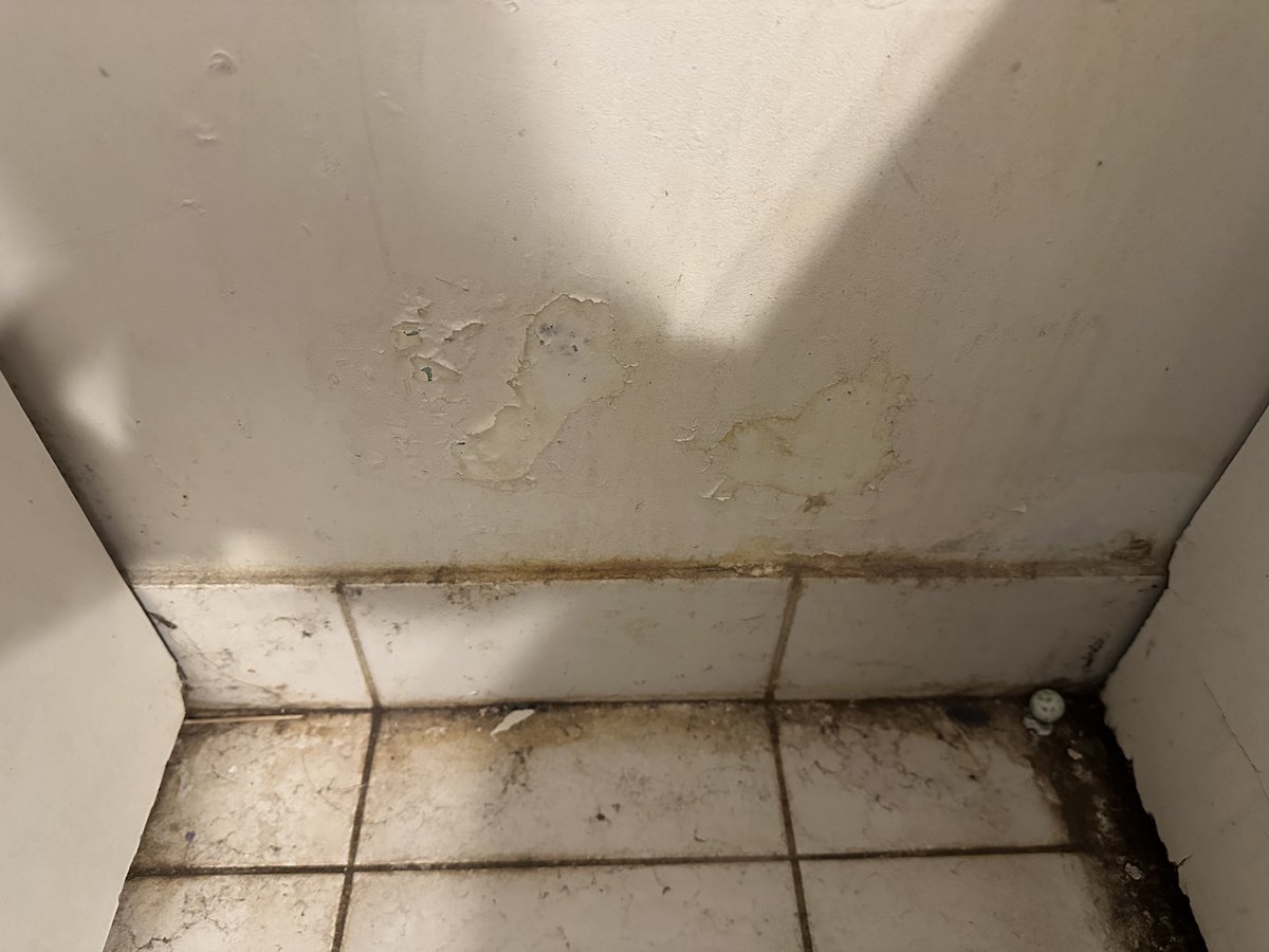 christophe92110's tweet photo. @IDF_Rassemblee @vpecresse #christophe92110 #lyceebuffon75015 #loyer 1752 euros dans cette état #problemes #moisissure ect…  @iledefrance @LYCEEBUFFON_ @BrunoBobkiewicz @brutofficiel @BFMTV @BFMParis @GroupeLFI_A @IDF_Rassemblee @vpecresse @avecValerie https://t.co/sIiPAKfriS