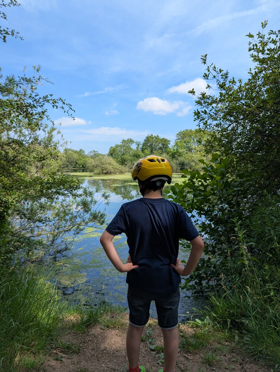 C_A_White's tweet image. #summer #insetday in the sunshine. #Attenborough #naturereserve followed by garden #waterplay and the little #paddlingpool lovely.