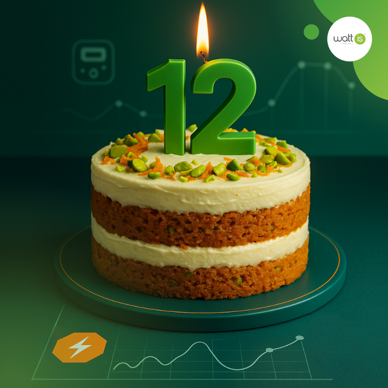 Watt_IS's tweet photo. 🎉 We’re celebrating 12 years of Watt-IS! We’ve grown in experience, partnerships, and above all, in our mission to power a smarter, greener, and more flexible energy grid through AI. Thank you to all our partners, clients, and team members who have been part of this journey.⚡ https://t.co/c8Haf99EnH