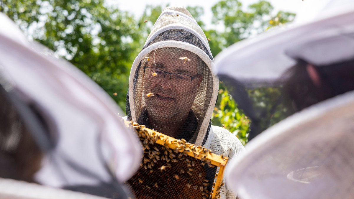 UGA College of Veterinary Medicine (@ugavetmed) on Twitter photo What’s good for the honeybee is good for mankind 🐝
According to the <a href="/USDA/">Dept. of Agriculture</a>, honeybees pollinate $15 billion worth of crops each year—including over 130 types of fruits, vegetables, and nuts. The <a href="/NIH/">NIH</a> reports these bee-pollinated crops make up nearly one-third of the human diet. What’s good for the honeybee is good for mankind 🐝
According to the <a href="/USDA/">Dept. of Agriculture</a>, honeybees pollinate $15 billion worth of crops each year—including over 130 types of fruits, vegetables, and nuts. The <a href="/NIH/">NIH</a> reports these bee-pollinated crops make up nearly one-third of the human diet.