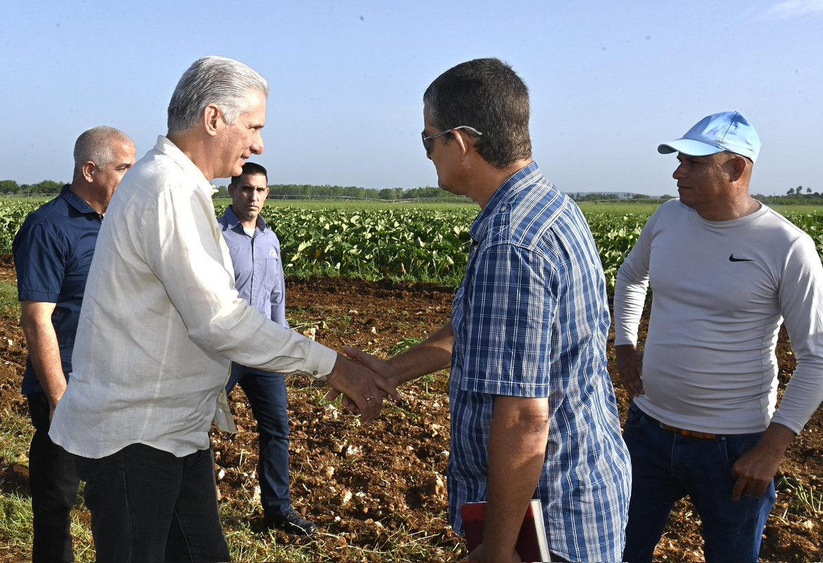 PresidenciaCuba's tweet photo. @DiazCanelB @DrRobertoMOjeda 🗣️| Entre otros temas @DiazCanelB insistió durante la jornada en aprovechar al máximo el uso de los bioproductos, así como la atención cultural a los cultivos.

Lo hecho en momentos tan complejos demuestra que es posible avanzar más y seguir incrementado las producciones. https://t.co/2H9Aa5aM80