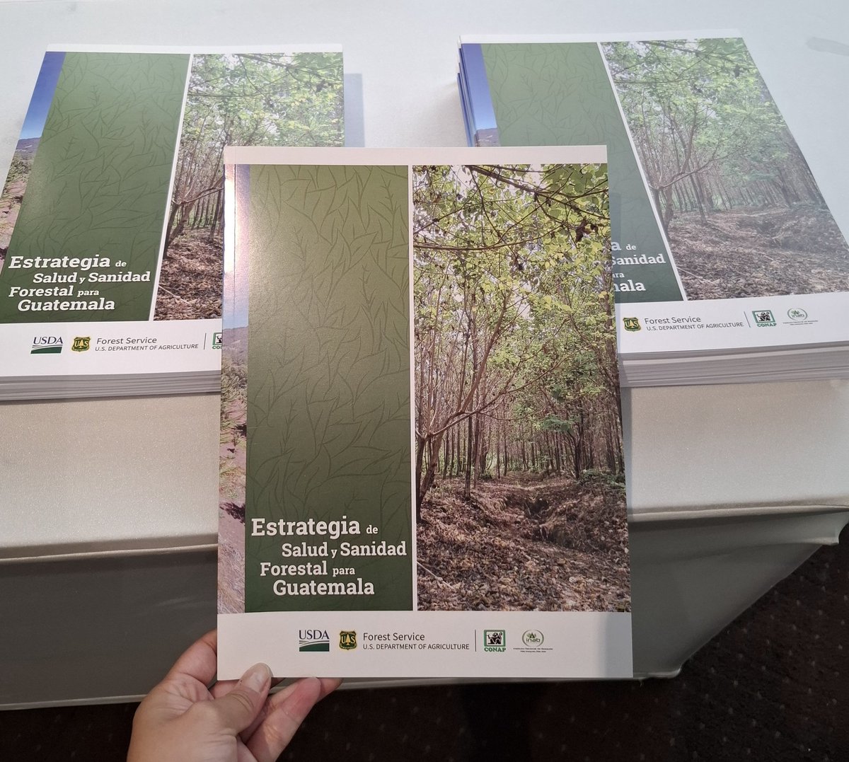 CONAP (@conapgt) on Twitter photo El #CONAP y el <a href="/inabguatemala/">INAB Guatemala</a> presentan la Estrategia de Salud y Sanidad Forestal para Guatemala, documento guía y programático a
diez años, de los conceptos, normas, actividades operativas y procesos técnicos, El #CONAP y el <a href="/inabguatemala/">INAB Guatemala</a> presentan la Estrategia de Salud y Sanidad Forestal para Guatemala, documento guía y programático a
diez años, de los conceptos, normas, actividades operativas y procesos técnicos,