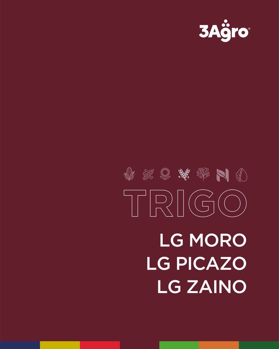 🌾Conocé nuestros trigos de <a href="/lgsemillas/">LG SEMILLAS 🌽🌻🌾🌱</a> 👇

🔥𝗠𝗢𝗥𝗢: ciclo intermedio de alto potencial y excelente sanidad.
🔥𝗣𝗜𝗖𝗔𝗭𝗢: ciclo intermedio de alto potencial y excelente sanidad.
🔥𝗭𝗔𝗜𝗡𝗢: ciclo intermedio corto de alto potencial y excelente calidad.