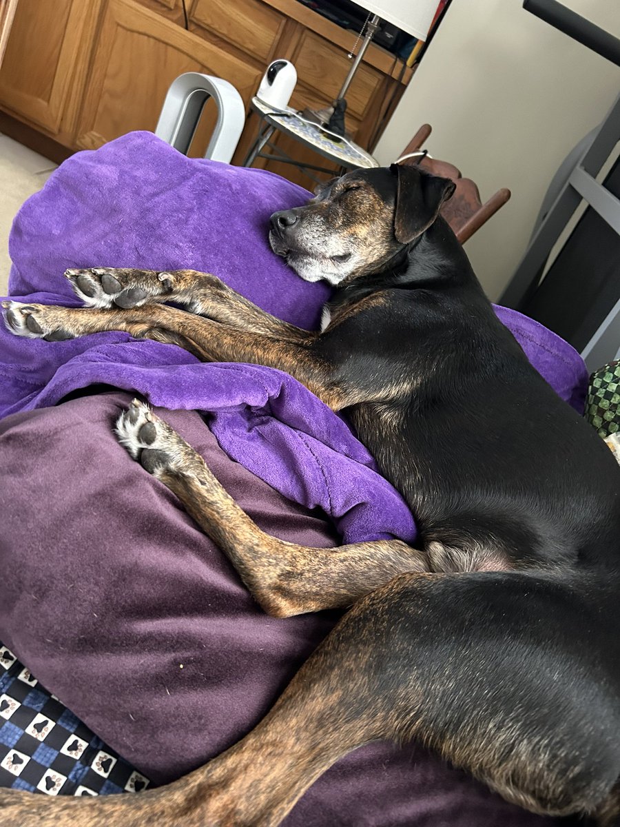 Having company is exhausting 😴 
#WontLookWednesday