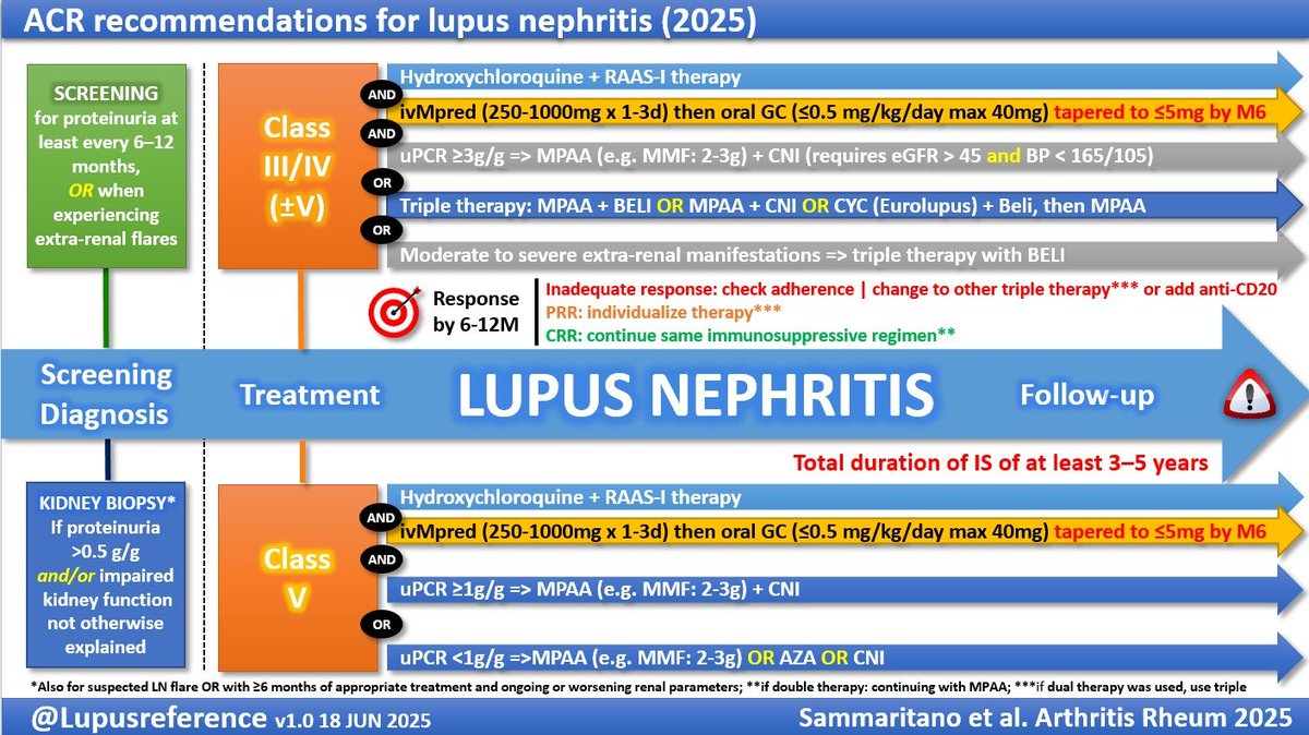 Laurent ARNAUD (@lupusreference) on Twitter photo ✅ Check my visual summary for the <a href="/ACRheum/">American College of Rheumatology</a> #recommendations for the screening 🔎 and treatment 💊 of #LUPUS #NEPHRITIS ⬇️ What would you change? Please DO let me know if an update 🔄 is needed 👍 ✅ Check my visual summary for the <a href="/ACRheum/">American College of Rheumatology</a> #recommendations for the screening 🔎 and treatment 💊 of #LUPUS #NEPHRITIS ⬇️ What would you change? Please DO let me know if an update 🔄 is needed 👍
