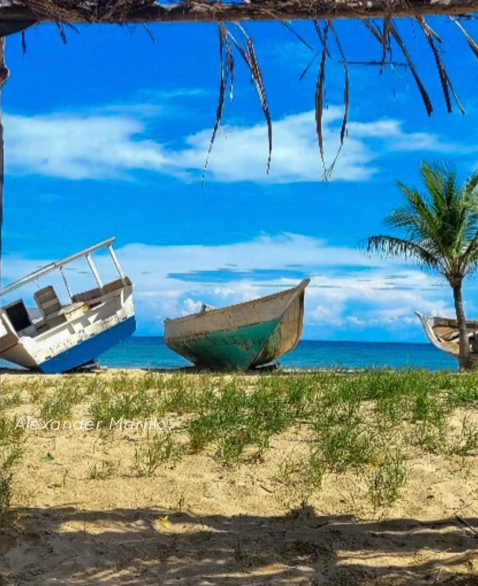 alexcochense's tweet image. Con la bendición de Dios,hoy será un buen día.
Playa Punta Arena .
Isla de #Margarita#Venezuela