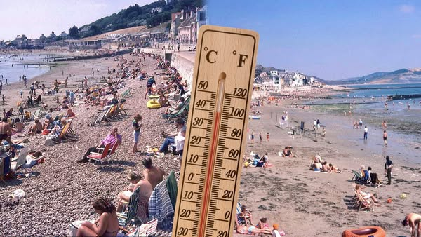 Alexandra tweet media