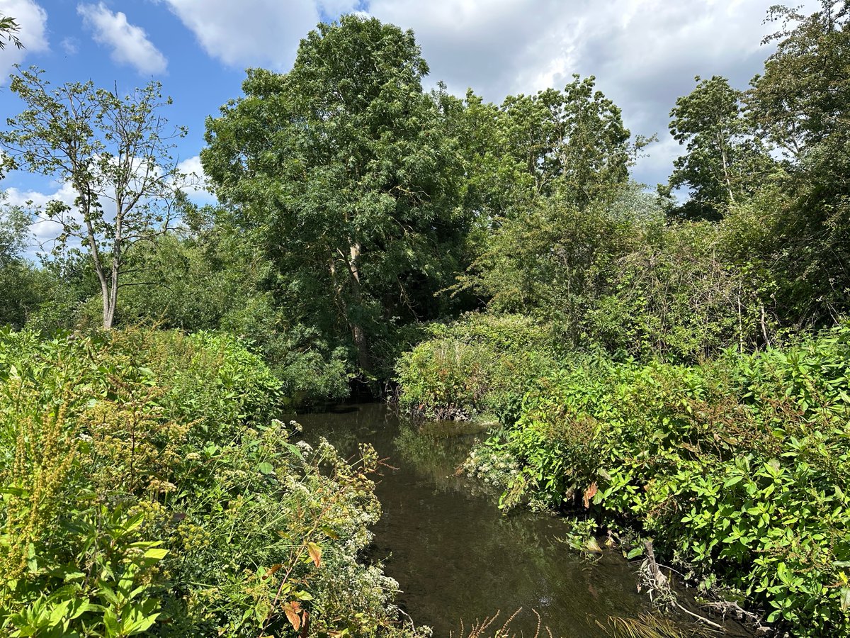 Crane Valley Partnership (@cvp_cranevalley) on Twitter photo #virtualtour of the Crane Valley: River Crane at London Wildlife Trust's Huckerby's Meadows nature reserve (located alongside <a href="/HeathrowAirport/">Heathrow Airport</a>), June 2025
<a href="/LondonNPC/">London National Park City*</a> <a href="/Hillingdon/">Hillingdon Council</a> <a href="/FriendsRivCrane/">FORCE</a>
<a href="/habsandheritage/">Habitats & Heritage</a> <a href="/EnvAgencySE/">Environment AgencySE</a> <a href="/Thames_RvrsTrst/">Thames Rivers Trust</a> #virtualtour of the Crane Valley: River Crane at London Wildlife Trust's Huckerby's Meadows nature reserve (located alongside <a href="/HeathrowAirport/">Heathrow Airport</a>), June 2025
<a href="/LondonNPC/">London National Park City*</a> <a href="/Hillingdon/">Hillingdon Council</a> <a href="/FriendsRivCrane/">FORCE</a>
<a href="/habsandheritage/">Habitats & Heritage</a> <a href="/EnvAgencySE/">Environment AgencySE</a> <a href="/Thames_RvrsTrst/">Thames Rivers Trust</a>