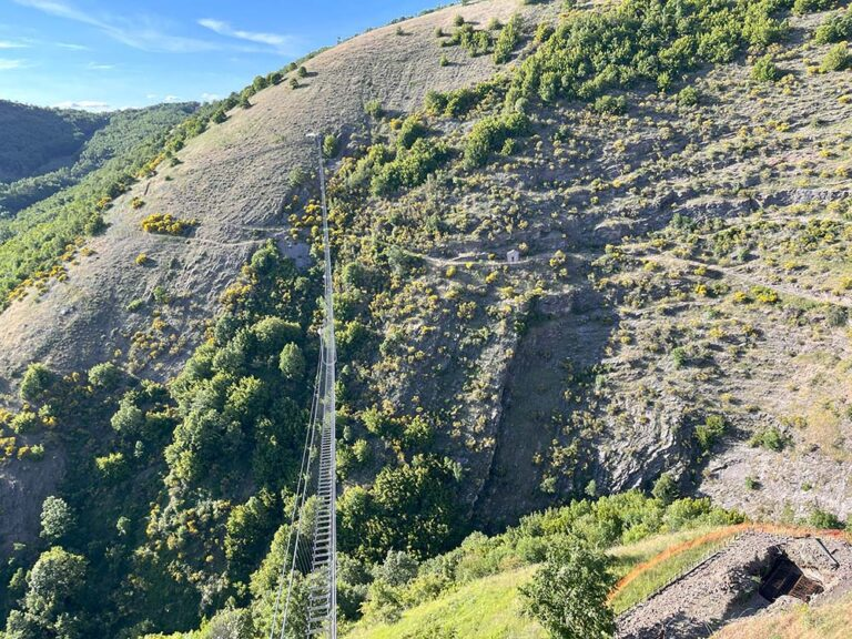 MondoInTasca tweet media