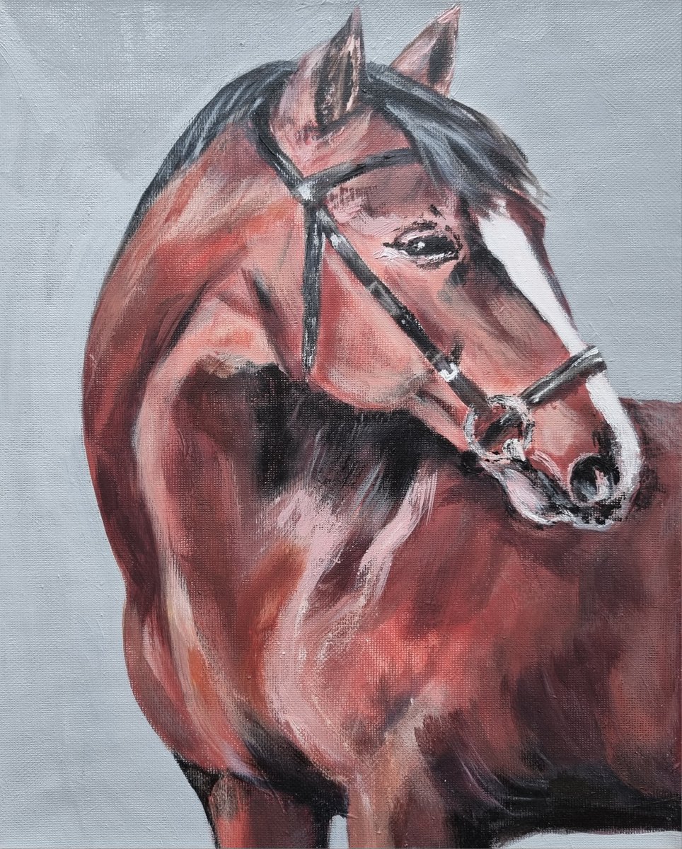 IES Santa Emerenciana tweet media