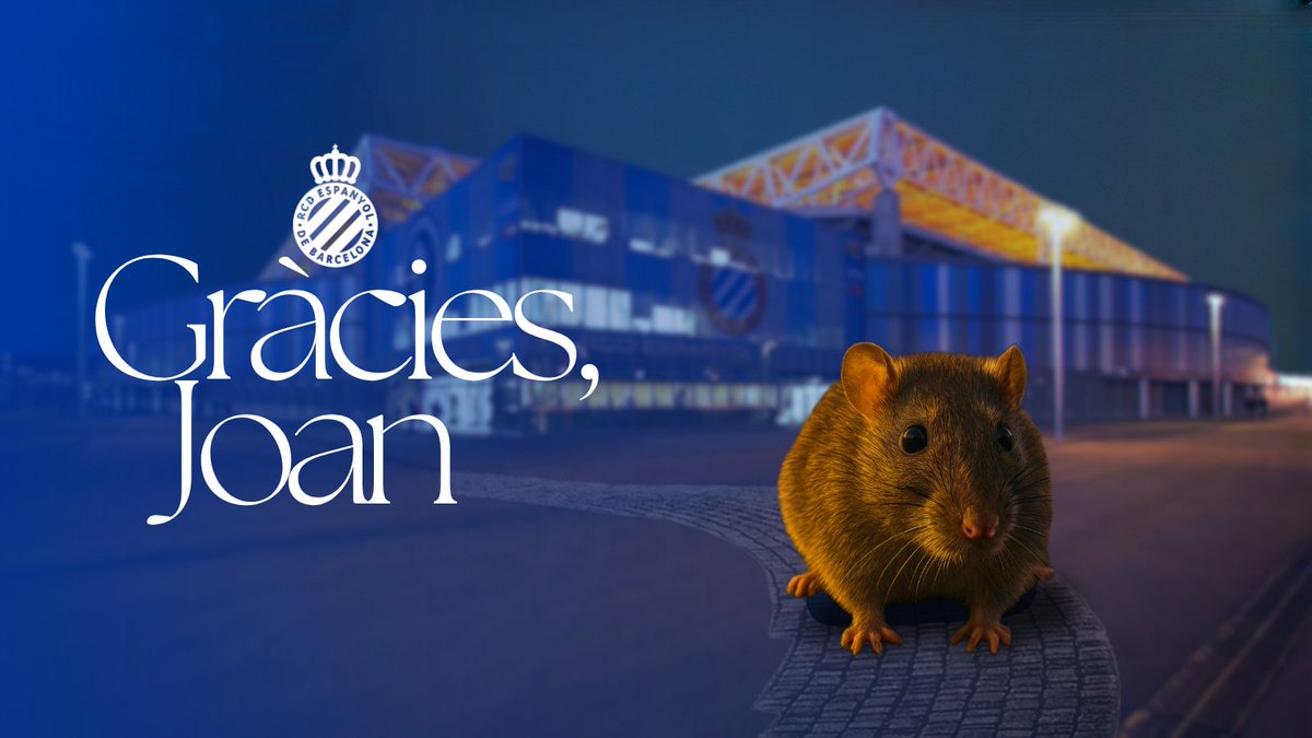 P. E. Mataró (@pemataro) on Twitter photo 