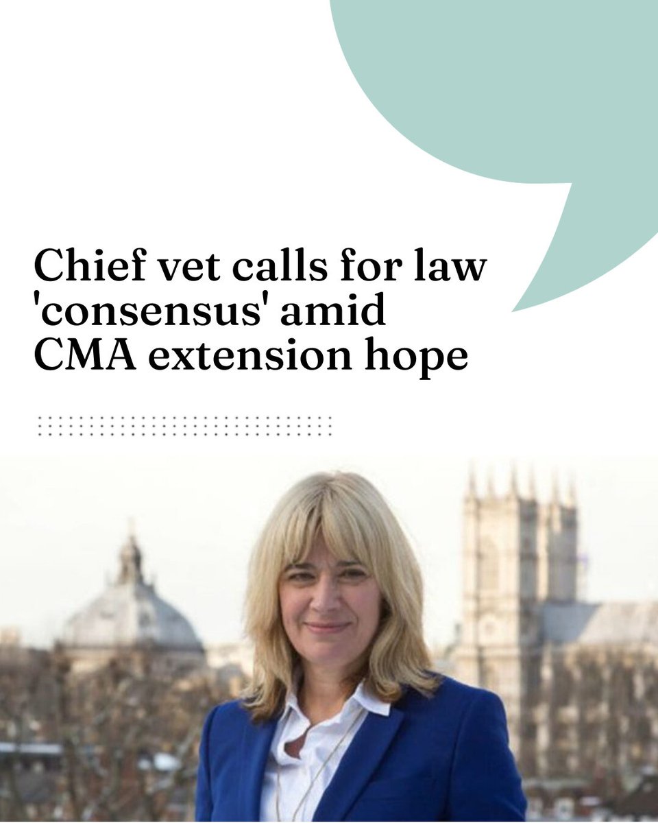 Chief vet calls for law 'consensus' amid CMA extension hope

 vettimes.com/news/business/…