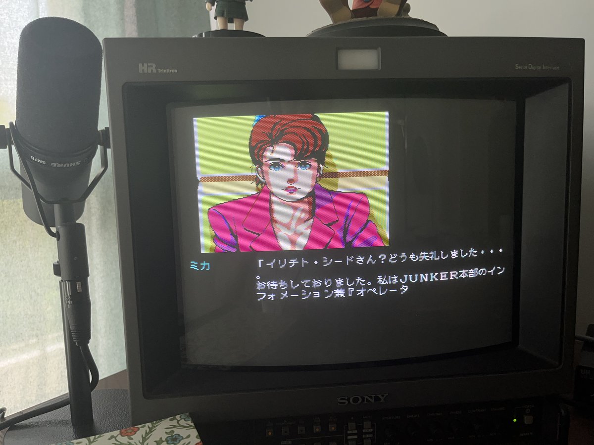 Gaming.

(Playing some Snatcher (MSX) on my Sony HB-F1XD)