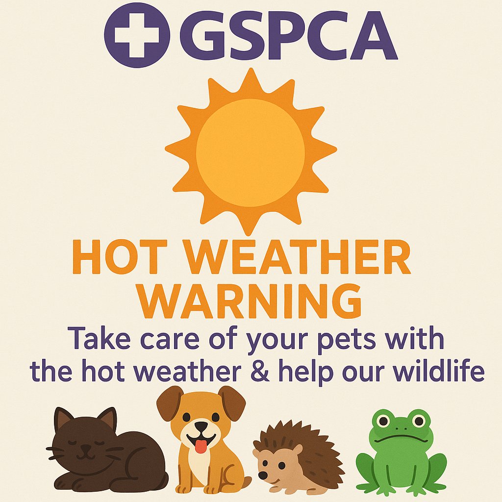 GSPCA HOT WEATHER WARNING Take care of your pets with the hot weather &amp; help our wildlife gspca.org.gg/blog/gspca-hot…