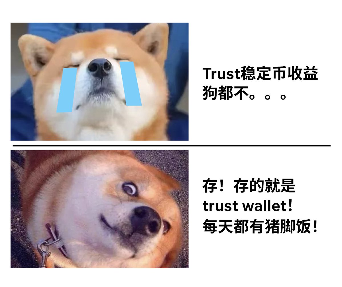 让我看看谁还不参加Stablecoin Earn? 👀