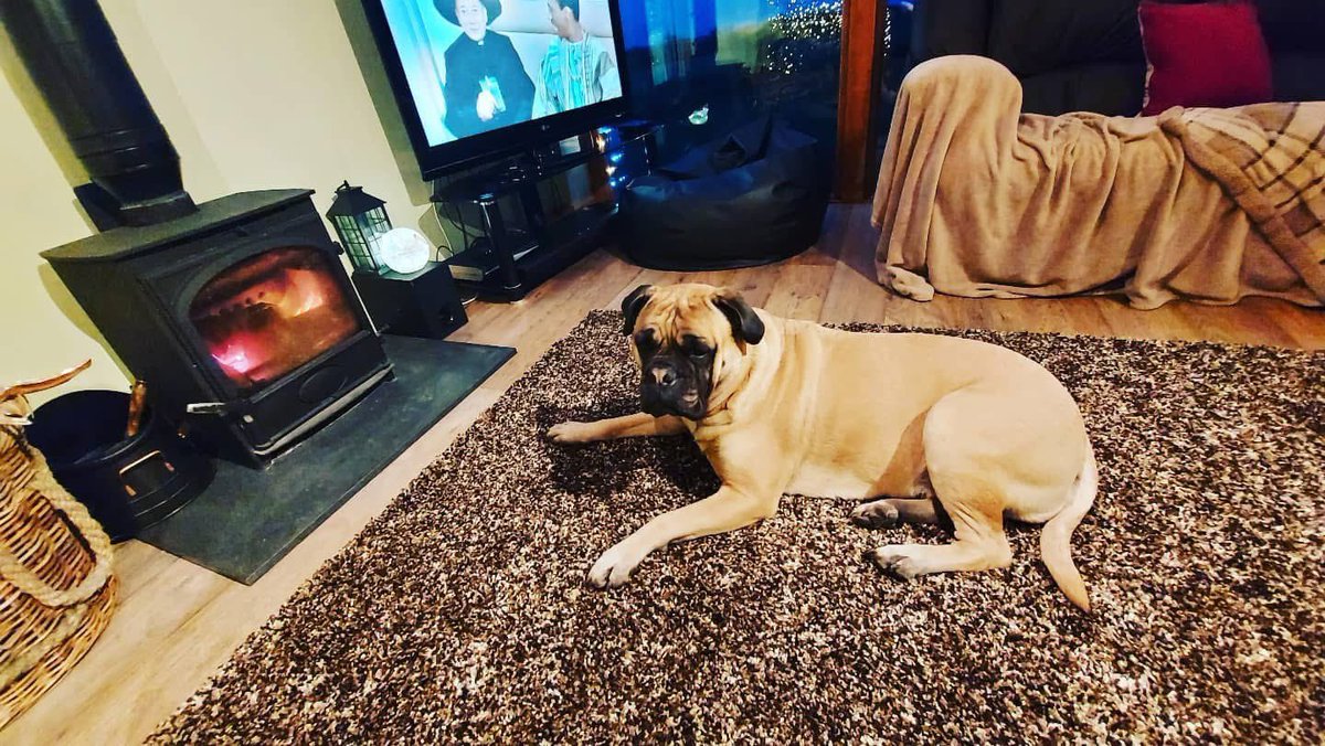 JoeFTM93 tweet media