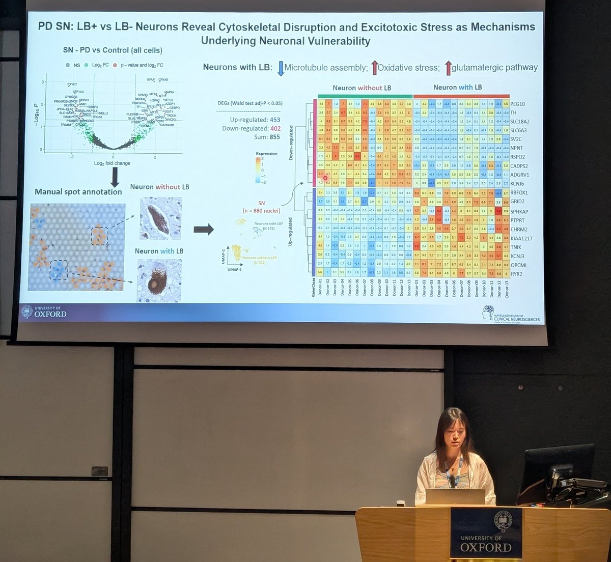Annie Zhao is using spatial transcriptomics to understand vulnerability factors in neurons containing lewy bodies - super flash  talk here at the Thames Valley ARUK Network Research Day!