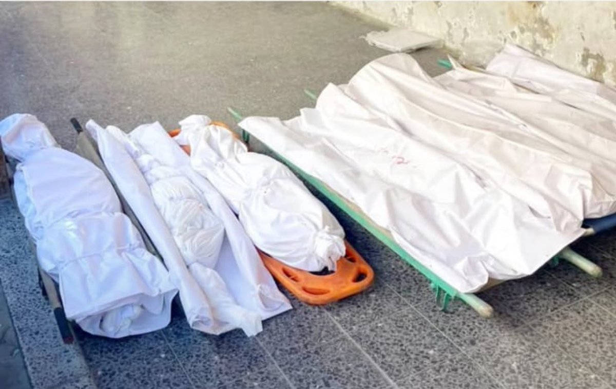 أباد جيش الاحتلال عائلة المواطنة إيناس فرحات/منصور، بعدما استهدف منزلها بغارة وحشية أسفرت عن إصابتها إصابة خطيرة، واستشهاد أبنائها السبعة، جميعهم من حفظة كتاب الله: محمد، وسعد، وزيد، وبيسان، وأسيل، وسما، ولمى. #غزة