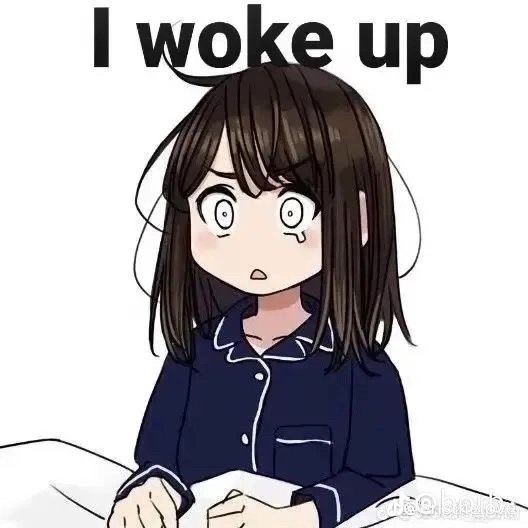 I love dogs, but not enough to have to be woken up to take them outside early every morning.

Still housesitting tho!