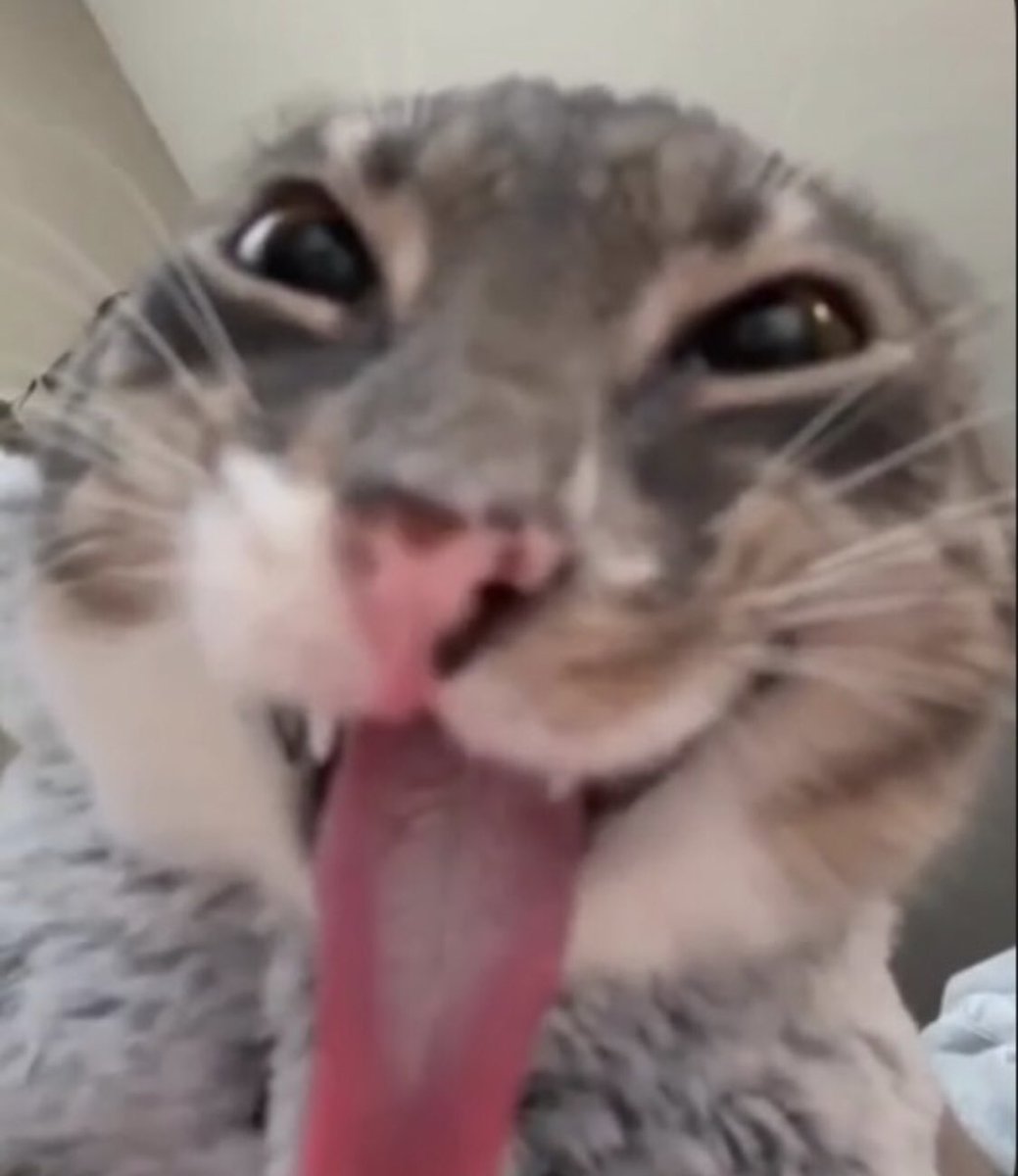 awesomemajesty's tweet photo. @NoContextHumans Looks like this https://t.co/SnUxvJRJ3A