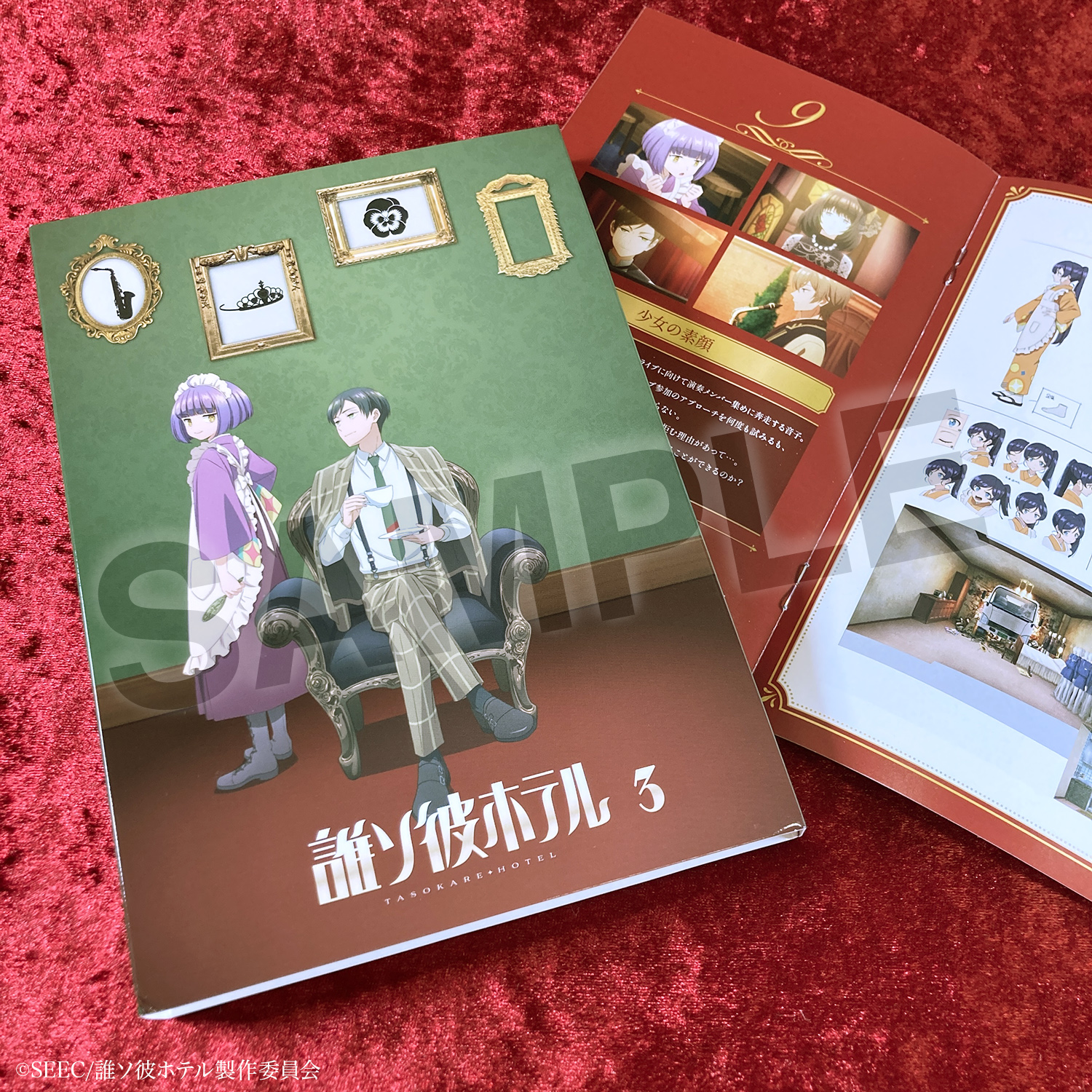 連続ドラマW-30 ああ,ラブホテル～秘密～ DVD 全巻セット（連続
