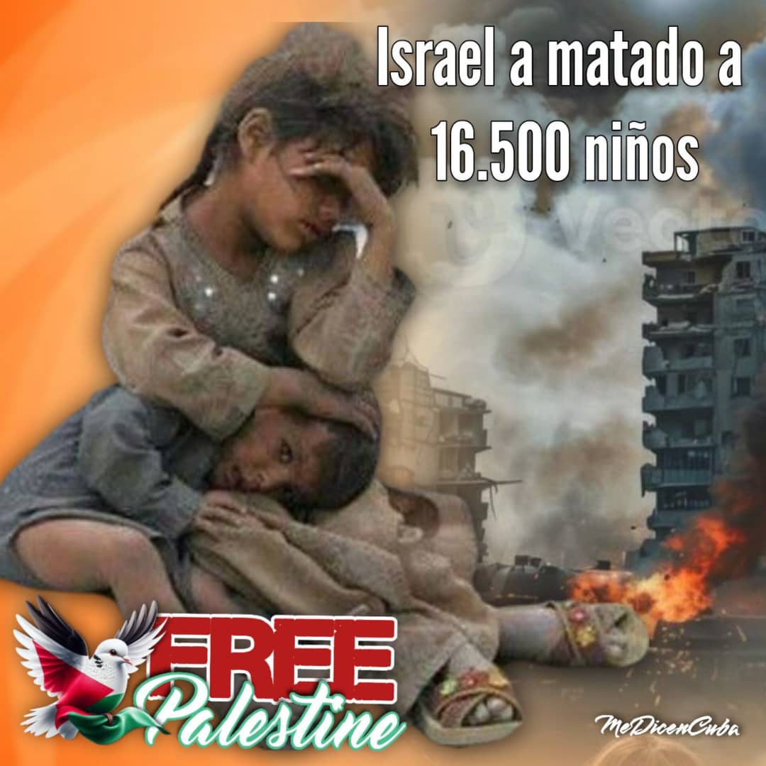 Libertad para el pueblo Palestino. 🇨🇺🇨🇺🇪🇭🇪🇭
#FreePalestine
#NoAlFascismo
#NoAlTerrorismo