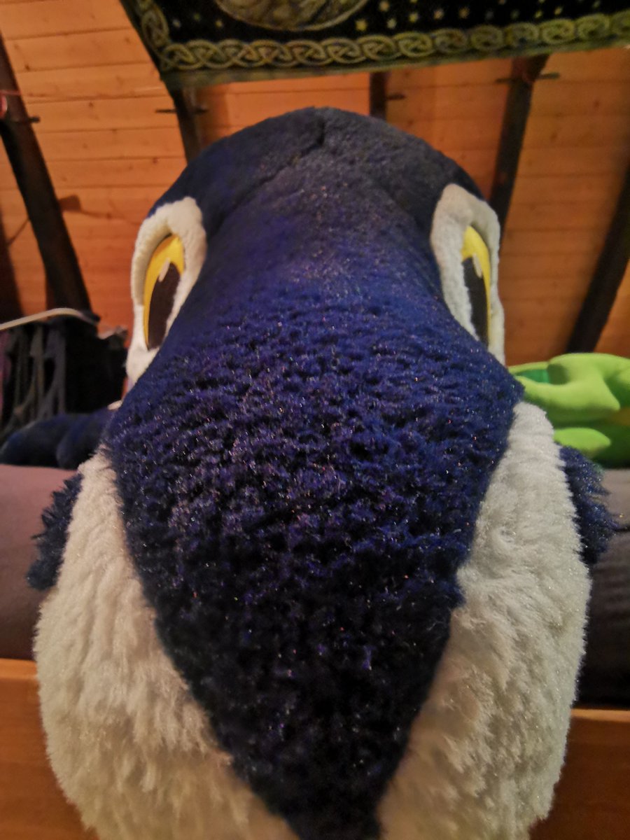 POV: You are stuffing ☁️ 
(Oreo's favorite food is stuffing )

💙 💜 🐉 by <a href="/PlushLife_eu/">PlushLife</a>