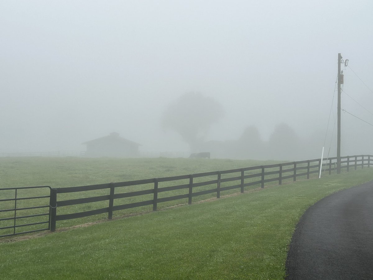 The path to our destination may be a little foggy at times but stay the course and you will reach it