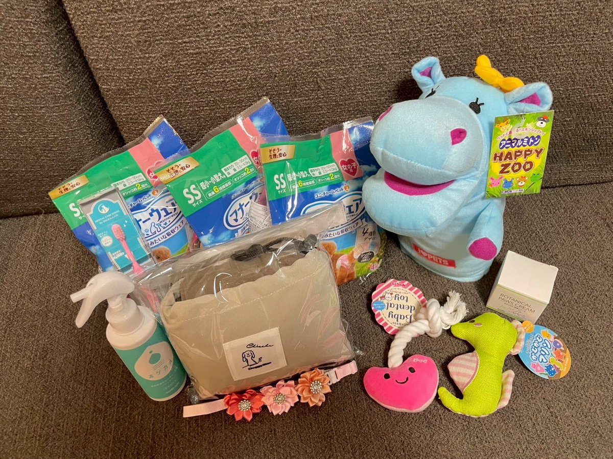 ふぅちゃん᧔♡⃛᧓シーズー᧔♡⃛᧓ (@fuuchan0910) / Posts and