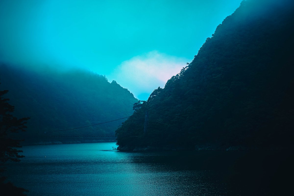 廃橋という栄養