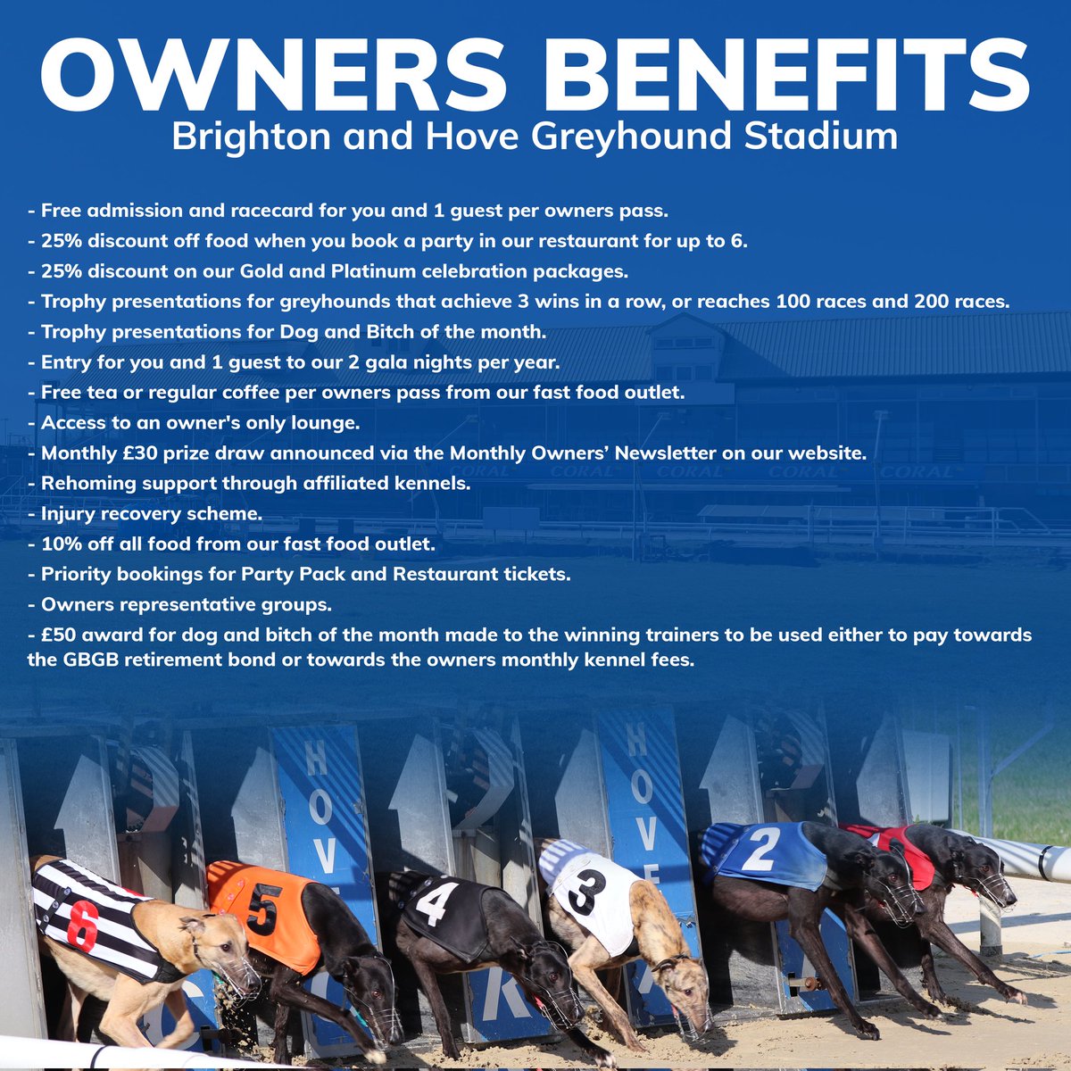 Have you ever thought about owning a greyhound? 🐾

The best place to start is by contacting any of our trainers. You can find contact numbers for all of our trainers on our website or in each of our racecards.