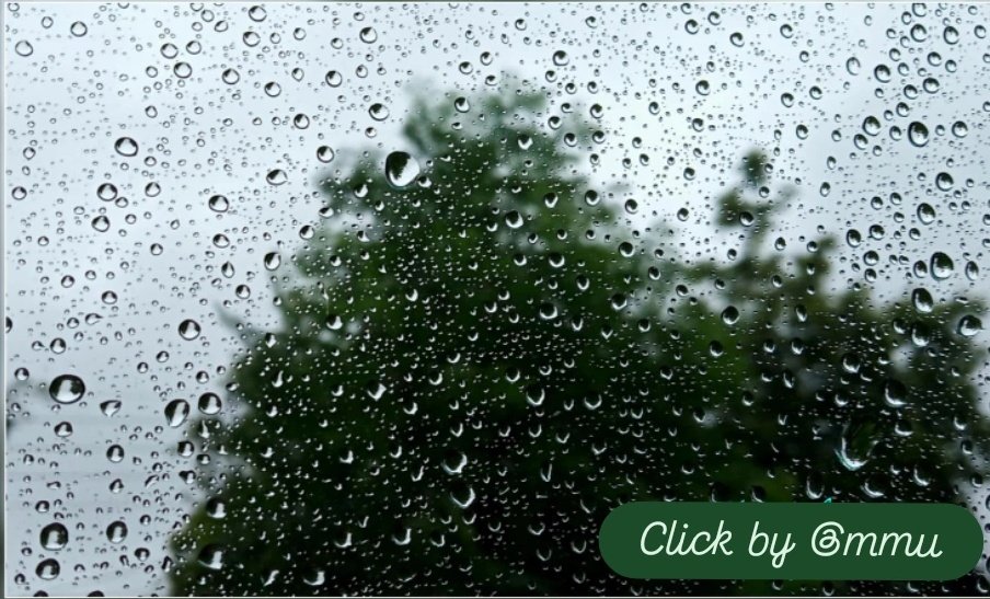 amrita__9936's tweet photo. #MusicMode 🎧

"Bajta hai jaltarang tin ki chhat pe jab motiyo jaisa jal barse! Bundon ki yeh ladi,lai hai woh ghadi,jiske liye hum tarse"

#RahulDevBurman #Pancham
#RDB #Music #Rain #Barse #KolkataRain #Me #18thJune
@mkoirala #AnilKapoor
#1942ALoveStory

https://t.co/He0WKdn2QC https://t.co/h8f2Hj4ShB