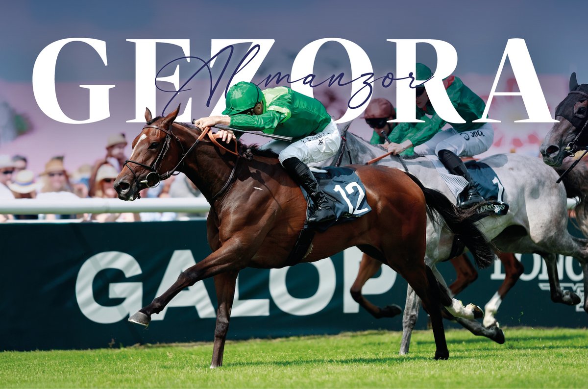 Haras d'Etreham (@haras_d_etreham) on Twitter photo ✨ Gezora wins the Prix de Diane Gr.1, offering #Almanzor his second classic victory in Europe !
This success follows recent major achievements from his European crop:
- Molveno, winner of the Italian Derby Gr.2 🇮🇹
- Zuckerhut, winner of the Union-Rennen Gr.2 🇩🇪
📸<a href="/zuzanna_lupa/">Zuzanna Lupa</a> ✨ Gezora wins the Prix de Diane Gr.1, offering #Almanzor his second classic victory in Europe !
This success follows recent major achievements from his European crop:
- Molveno, winner of the Italian Derby Gr.2 🇮🇹
- Zuckerhut, winner of the Union-Rennen Gr.2 🇩🇪
📸<a href="/zuzanna_lupa/">Zuzanna Lupa</a>