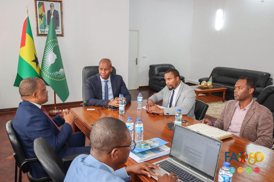 FAO Afrique centrale (@faoafriquecent) on Twitter photo En séjour à Sao Tomé et Principe <a href="/AthmanMravili/">Athman Mravili</a> échange avec <a href="/GarethGuadalupe/">Gareth Guadalupe</a>, nouveau ministre d'Etat en charge de l'Economie et des Finances à l'occasion d'une rencontre de prise de contact entre le membre du gouvernement et le coordonnateur sous régional de <a href="/FAO/">Food and Agriculture Organization</a>. En séjour à Sao Tomé et Principe <a href="/AthmanMravili/">Athman Mravili</a> échange avec <a href="/GarethGuadalupe/">Gareth Guadalupe</a>, nouveau ministre d'Etat en charge de l'Economie et des Finances à l'occasion d'une rencontre de prise de contact entre le membre du gouvernement et le coordonnateur sous régional de <a href="/FAO/">Food and Agriculture Organization</a>.
