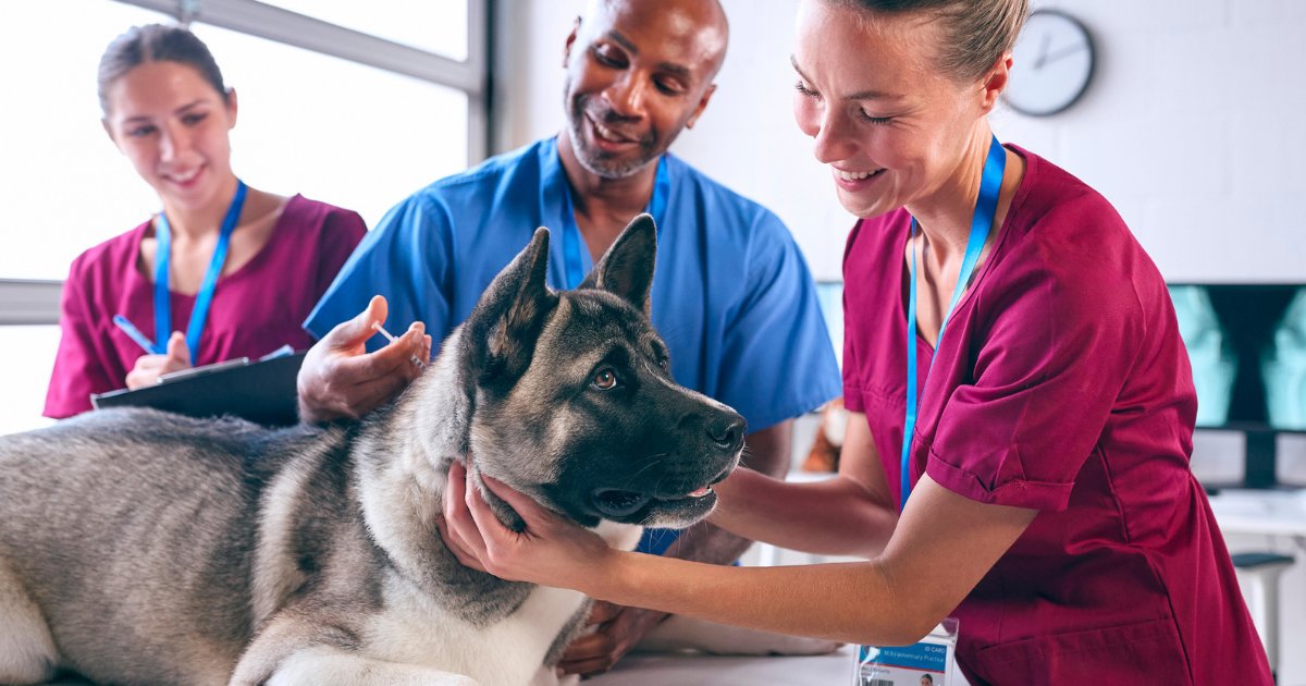 Happy Veterinary Appreciation Day! 🐾Today, we honor the vets who care for animals with compassion and expertise. Thank you for your hard work and commitment!