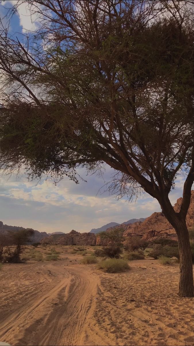 خسايرك دون المعزة مكاسيب 
« العز في كل المواقف يبدّا » .