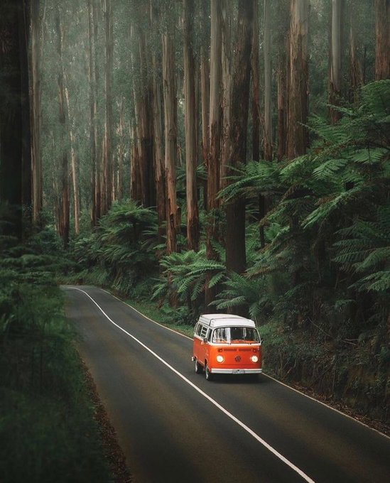 Photography by Karl shakur 