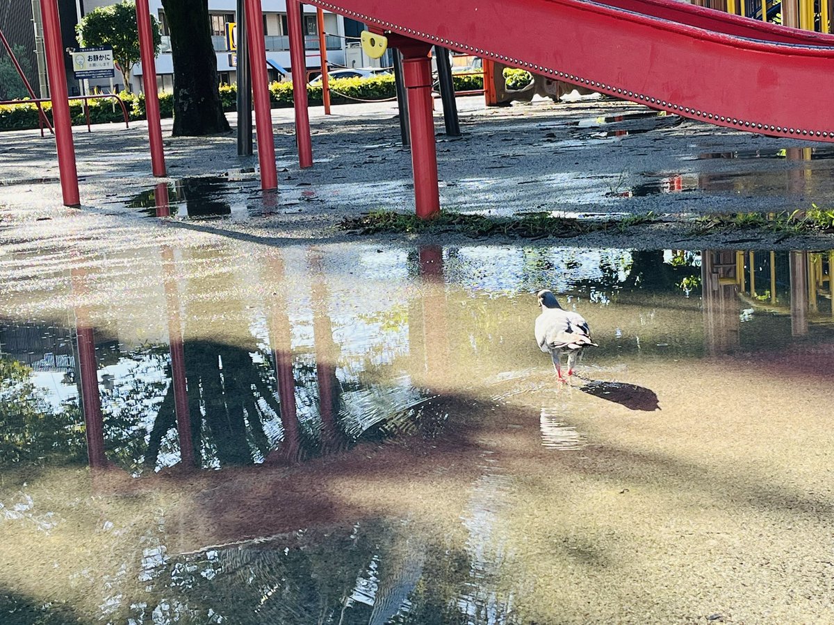 fcのラジオが更新されました！湿度が高く暑い日が続きますが、少しの癒しになればいいなと☀️ お楽しみください！
#JINBASE