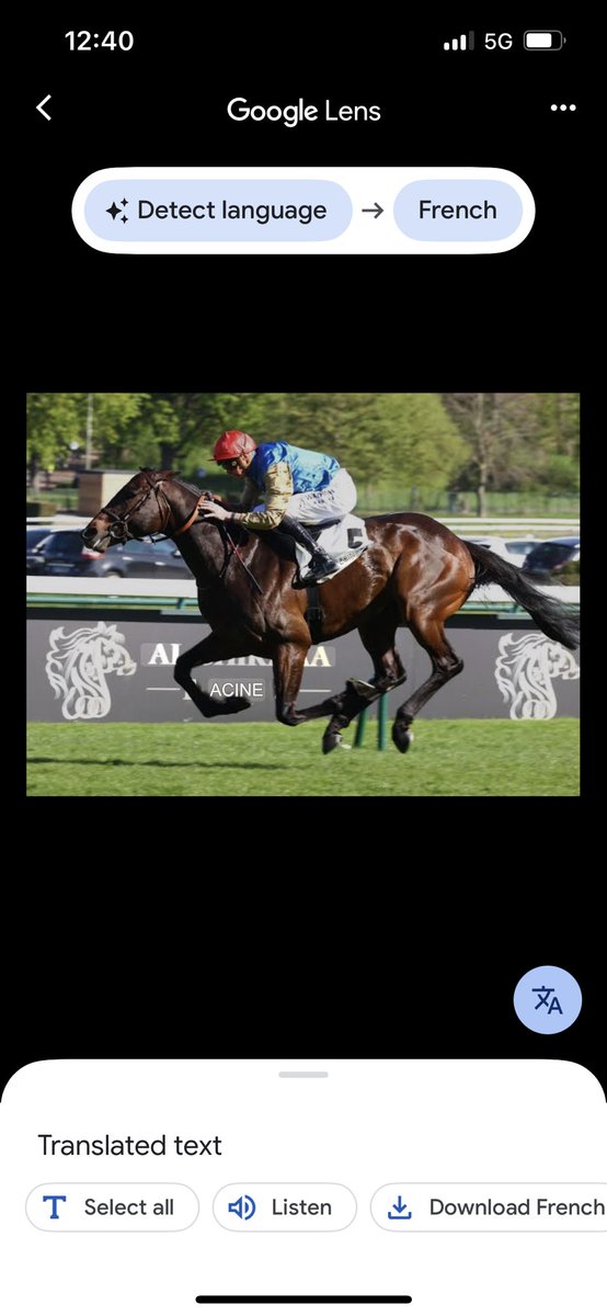 Hopefully, today is the day for Map of Stars. Currently 5/1 on the machine. 

True love and Cinderellas Dream will also have the weight of my money on their shoulders today.