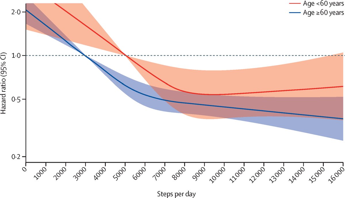 10,000 steps a day has long been thought of as the optimal goal for staying fit.

New evidence suggests that even 7,000 steps a day decreases mortality risk by 50%.