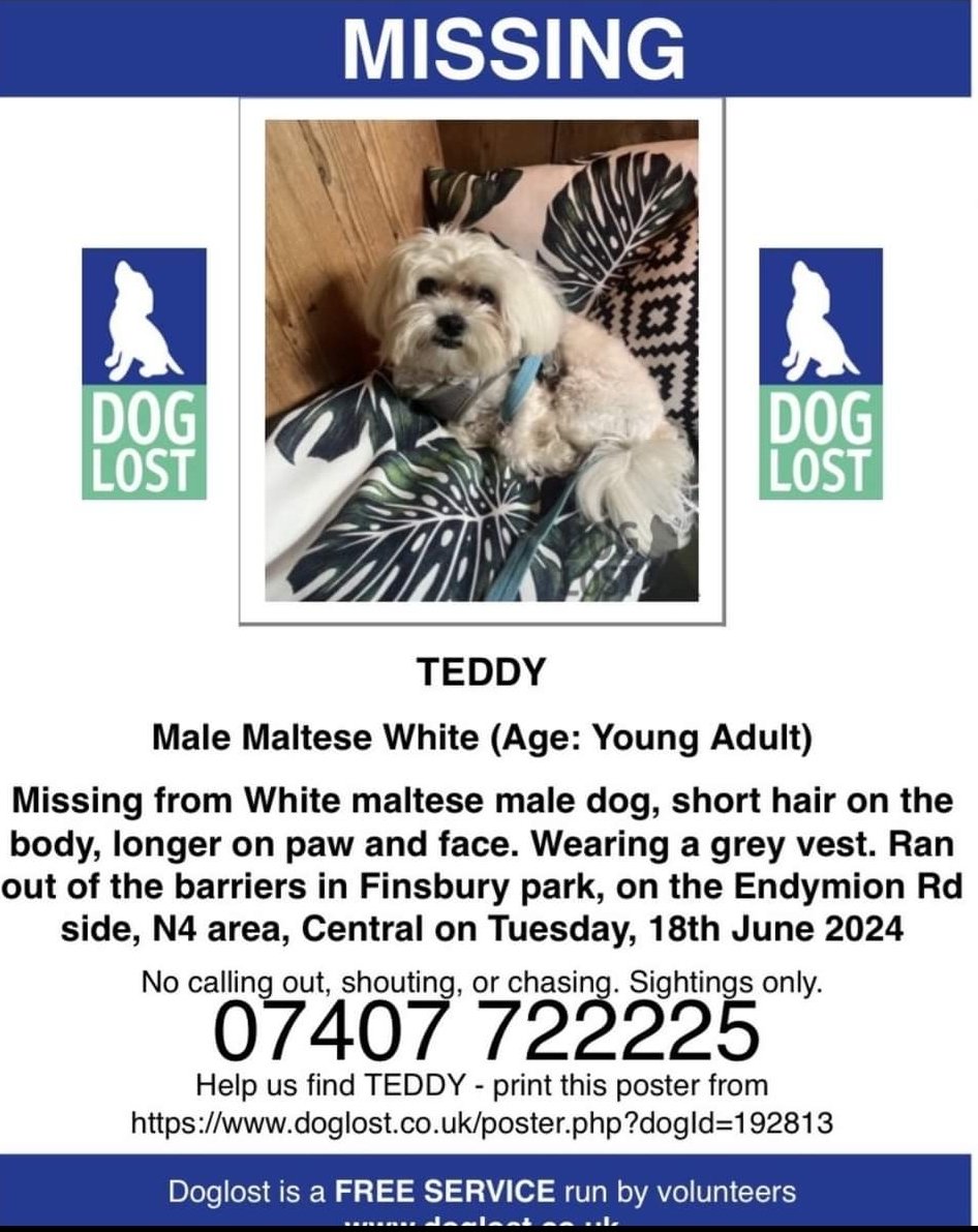 Little TEDDY is still missing💔

He went #missing ONE YEAR AGO TODAY Tuesday 18 June 3pm in Finsbury Park #N4

DOGS DON'T JUST DISAPPEAR

Teddy's owner, is devastated, this family is broken!!! 

Please contact if anyone has any information at all!