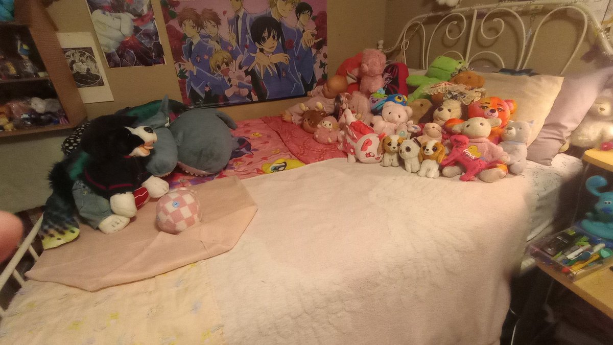 got rid of some of my stuffies :P now I have some in a net and my pinkish ones on my bed! (frog and fish are exceptions)