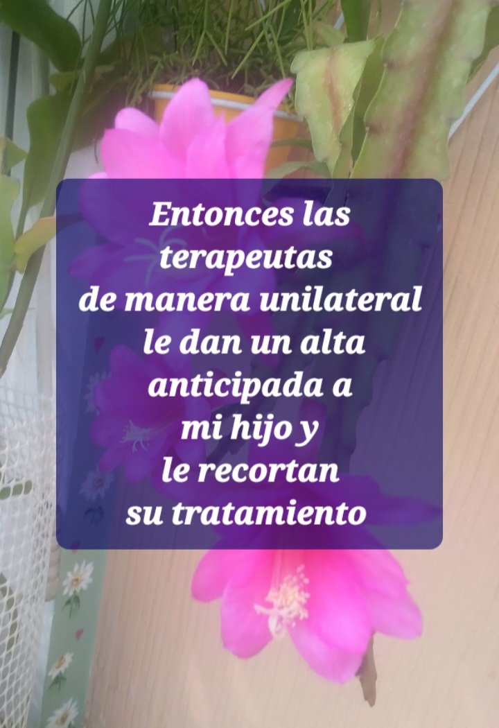 Julie Mother of Nature tweet media