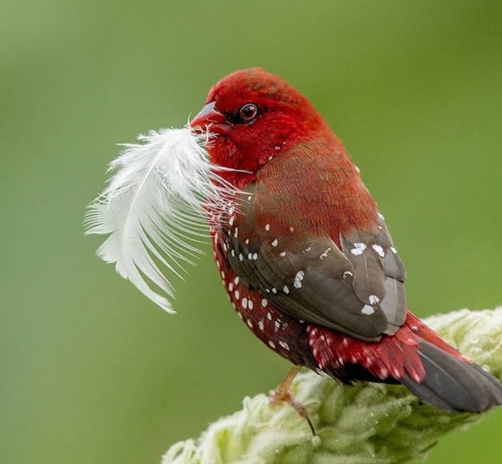 Bir çocuğun deniz kenarında yediği simitten düşen susam tanesini bile denizdeki milyonlarca balıktan hangisinin yiyeceğini tayin eden,
Rabbimizi tanıyan biri, rızık konusunda endişe etmez..!!!