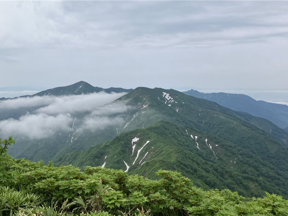 kouryu0803's tweet photo. 珍しいお花キヌガサソウ

#キヌガサソウ #神室山 #縦走 #小又山 https://t.co/opanaAVytH