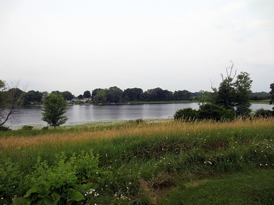 REMINDER: register for 6/29 heron rookery tour and 7/12 bird exhibit lottery - mailchi.mp/f1cd75d9cb2f/i…