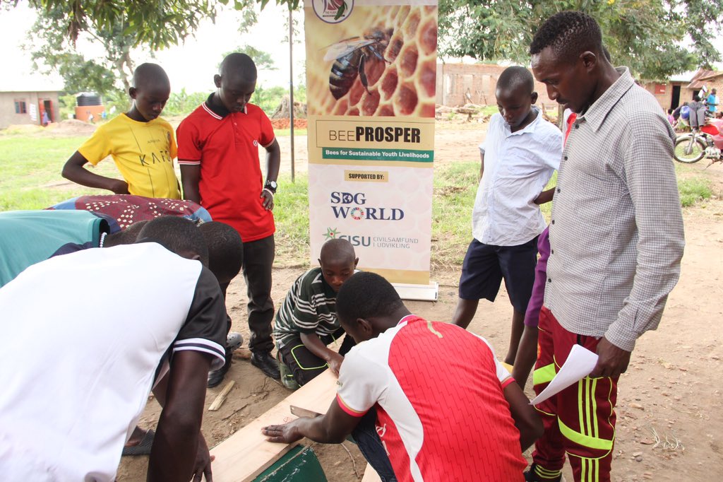 Empowering youth through beekeeping with the Bee Prosper Project—sustainable skills for a brighter, greener future! 🐝🌱✨<a href="/SDG2030/">SDG2030</a> <a href="/SDGWorldTour/">SDG World Tour</a>