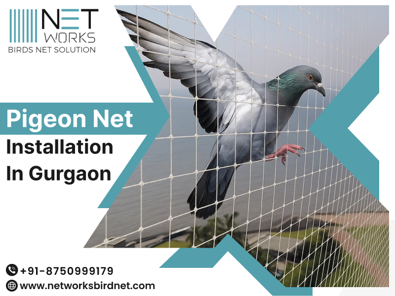 networksbirdnet's tweet image. Are you looking for Pigeon Net Installation in Gurgaon?
Get professional pigeon net installation in Gurgaon with Networks Bird Net.
Call us today for pigeon net installation in Gurgaon!
Visit: posts.gle/gWRB42
#pigeonnetgurgaon #birdnetinstallation #pigeoncontrol