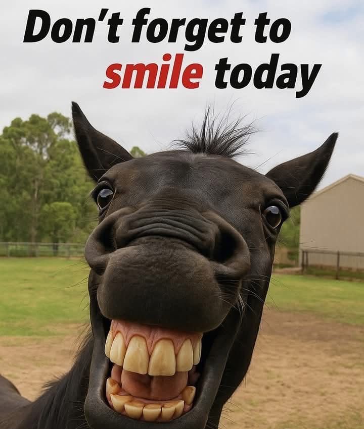 Megan Bernard tweet media